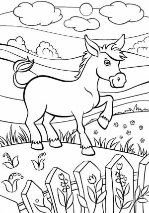 Ослик на полянке