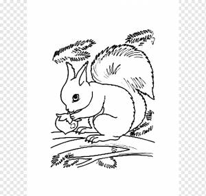 Книжка-раскраска летяга красная белка, раскраска летяга, белый, ребенок, млекопитающее png