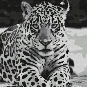 KHM0039 Ягуар Раскраска картина по номерам на холсте