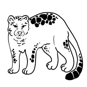 Раскраска ягуар