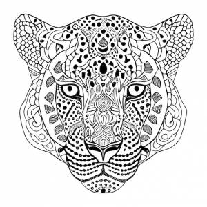 Ягуар животных украшения векторные иллюстрации рисованной