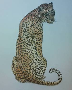 Ягуар ягуар рисунок акварель искусство живопись рисунокакварелью смешные животные jaguar pattern watercolor art painting