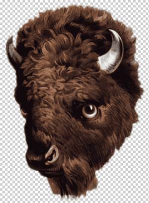 Американский бизон Buffalo Drawing Art, Крылья Буффало, корова Коза Семья, живая природа, земное животное png