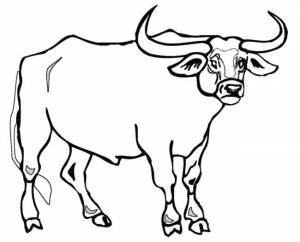 Раскраска Быки и Коровы на Новый год 2021 для детей