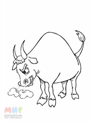 Раскраска Бык дал постуху поддых