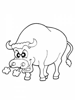Раскраска Бык картинка  онлайн