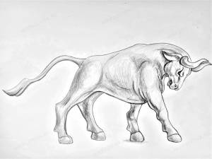 Как нарисовать быка
