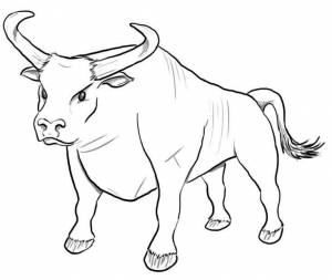 Раскраска Быки, бычки и коровки на Новый год 2021