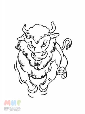 Раскраска Бык рогами тык