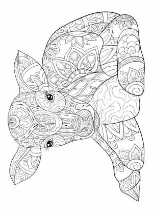 Новогодний бык раскраска