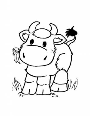 Раскраски Бык