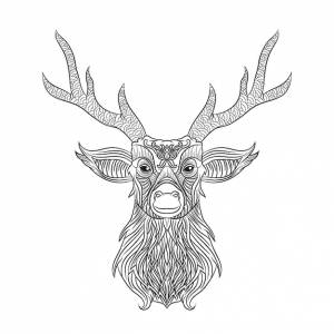 Раскраски милая красивая голова оленя раскраска