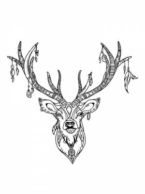 Раскраска Голова Оленя картинка в формате  для детей