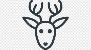 Олень, Рудольф, рисунок, голова, черно-белое, Рога оленя, Line Art, Головные уборы, олений рог, Черное и белое, олень png