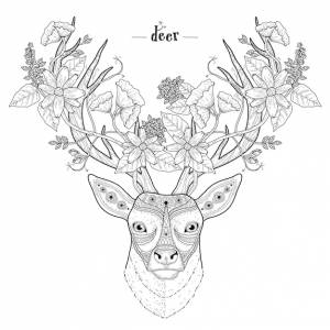 Раскраска элегантная голова оленя в изысканном стиле