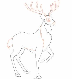 Рисунок оленя поэтапно