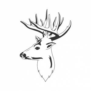 Монохромная голова оленя на белом фоне