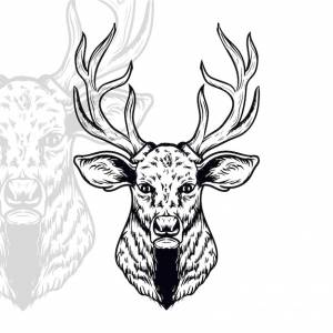 Голова оленя векторная иллюстрация