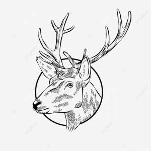 иллюстрация головы оленя вектор PNG , олень, животное, иллюстрация PNG картинки и пнг рисунок для й загрузки
