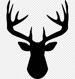 олень эскиз, олень рога компьютер иконки, олень, млекопитающее, животные, голова png