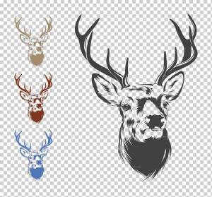 Олень рисунок, голова оленя, рога оленя, cdr, животные png