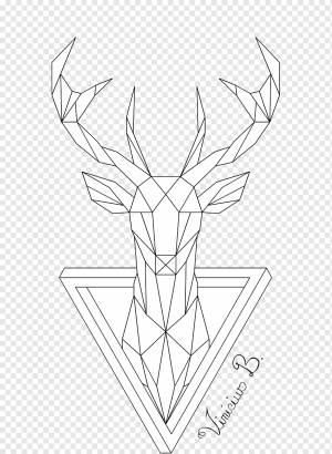 олень иллюстрация, олень геометрия рисунок линии искусства, геометрические, угол, животные, фотография png