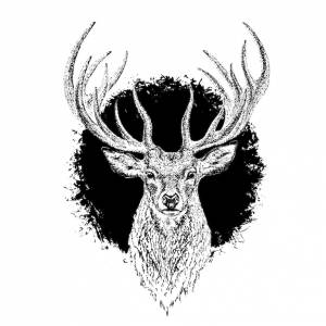 Голова оленя на фоне черных чернил гравюра черно-белая графика изолированные