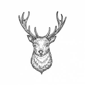 Ручной обращается рождественский олень  голова оленя векторная иллюстрация абстрактное лицо животного эскиз зимний хо