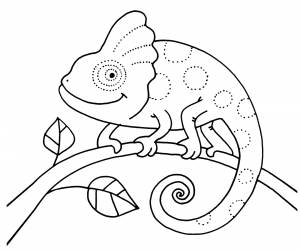 Раскраска Хамелеон