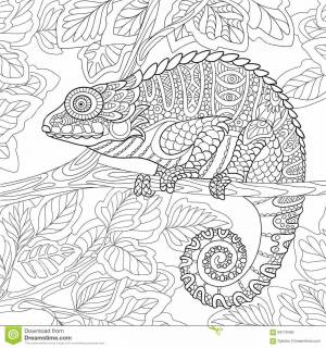 хамелеон раскраска для взрослых