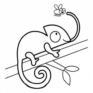 Раскраска Хамелеон для малышей