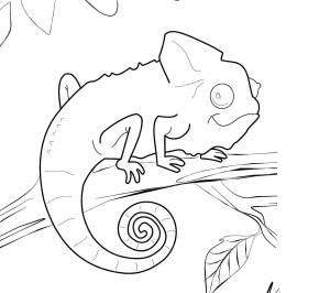 Хамелеон раскраска