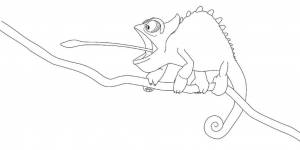 Раскраски Хамелеон