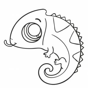 Desenhos de Camaleão para Colorir