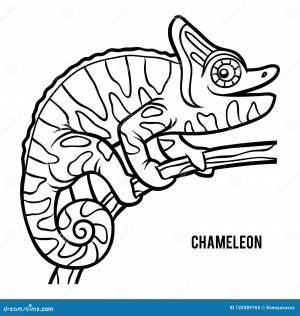 Книжка-раскраска, хамелеон иллюстрация вектора