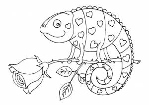 Desenhos de Camaleão para Colorir