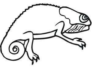 Раскраска Хамелеон 2