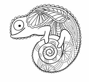Раскраски Хамелеон