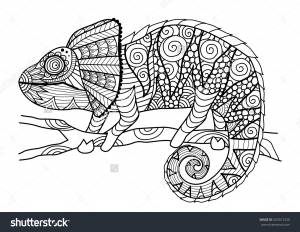 Hand drawn chameleon zentangle style for coloring book,shirt design effect,logo,tattoo a…