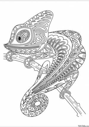 Раскраска Хамелеон на ветке