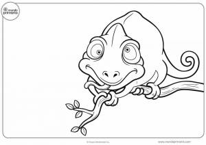 Раскраски Хамелеон рисунок