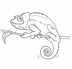 Chamäleon, Malvorlagen gratis, Wenn du mal buch