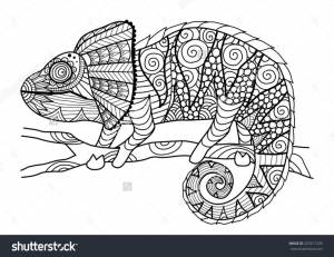 Hand Drawn Chameleon Zentangle Style Coloring