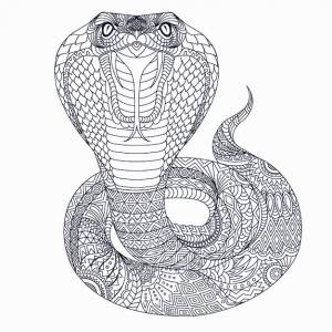 Штриховой рисунок кобра zentangle вектор