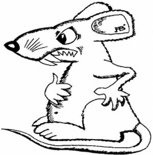 Раскраска крыса