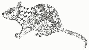 Раскраска крыса