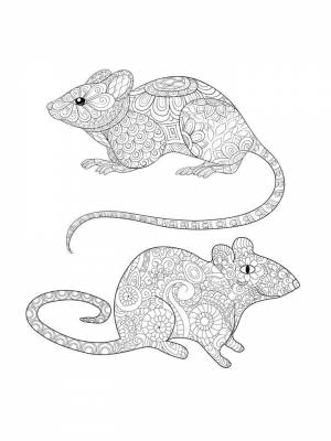 Раскраски Крыса   в формате