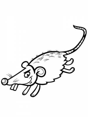 Раскраски Крыса   в формате