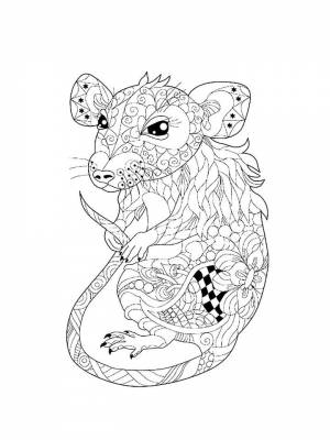 Раскраски Крыса   в формате