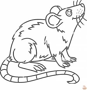 Раскраски Крысы для печати  для детей и взрослых